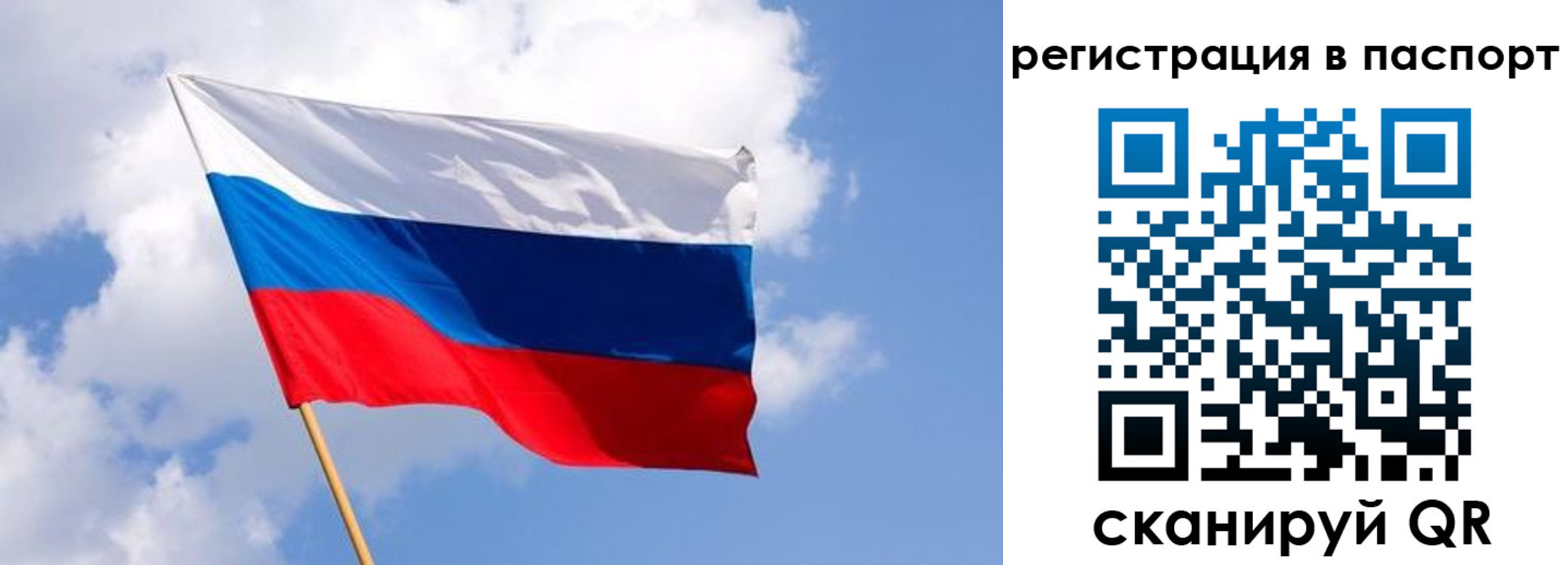 прописка от собственника в Новом Осколе